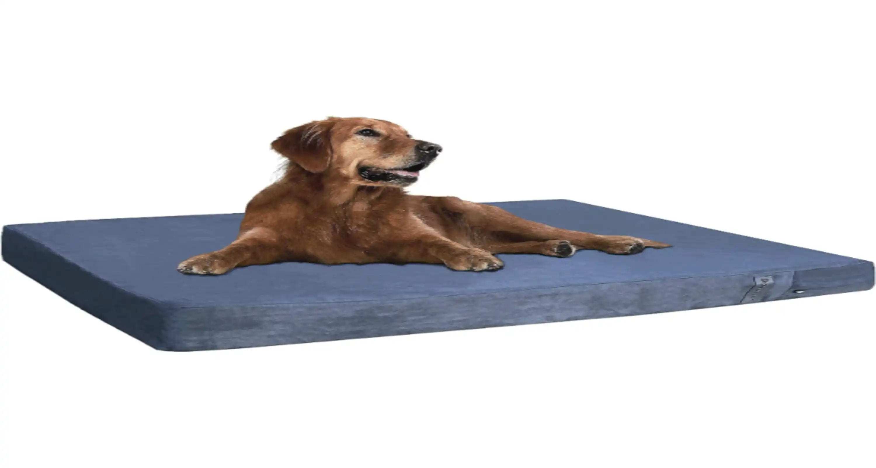 Dogbed4less Orthopedic Gel Memory Foam Pet Dog Bed Waterproof Liner Microsuede Gray