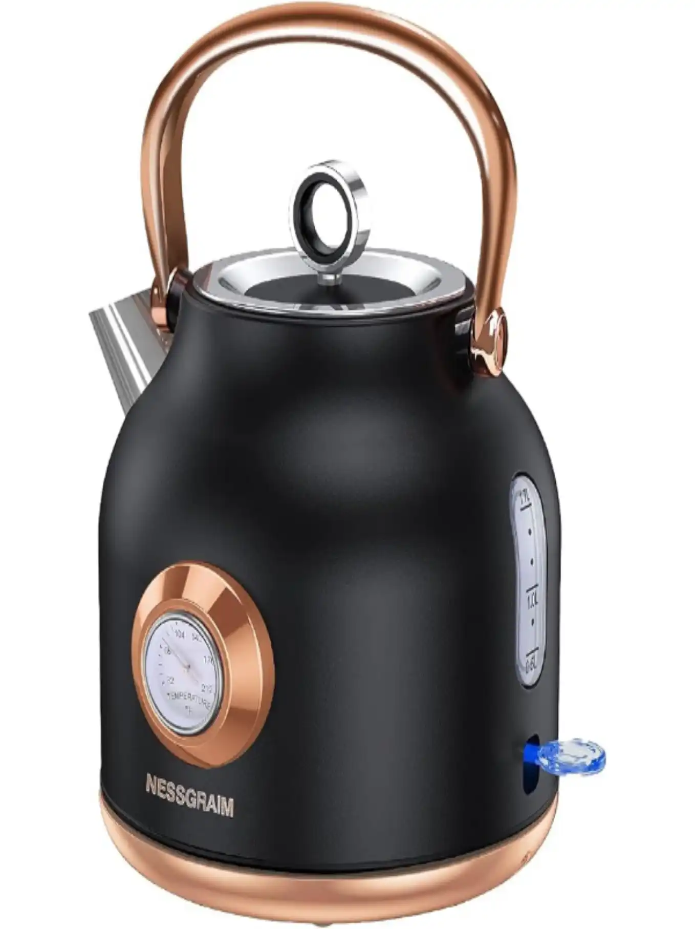 NESSGRAIM Retro Electric Kettle 1.7L Stainless Steel Tea Kettle with Temperature Gauge Retro Black