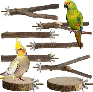 StyEdEk 8-Pack Natural Wood Bird Perches for Cage