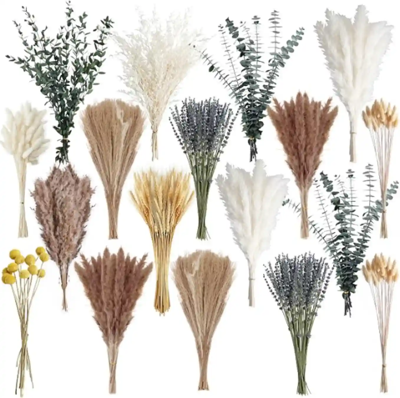 Tikaray 500 Pieces Dried Pampas Grass Bouquet for Boho Decor