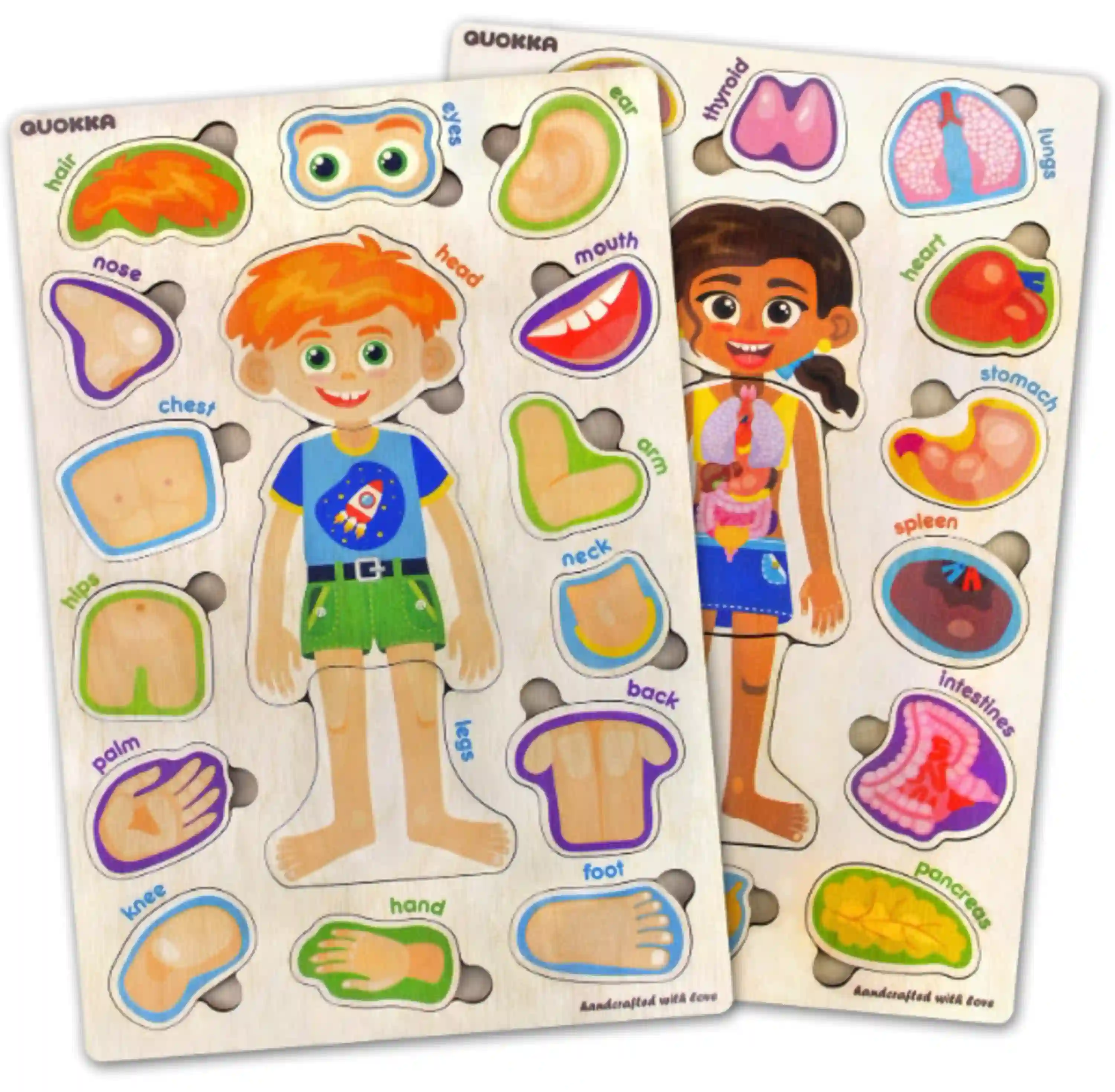 Montessori Human Body Anatomy Wooden Puzzles Set for Toddlers and Preschoolers